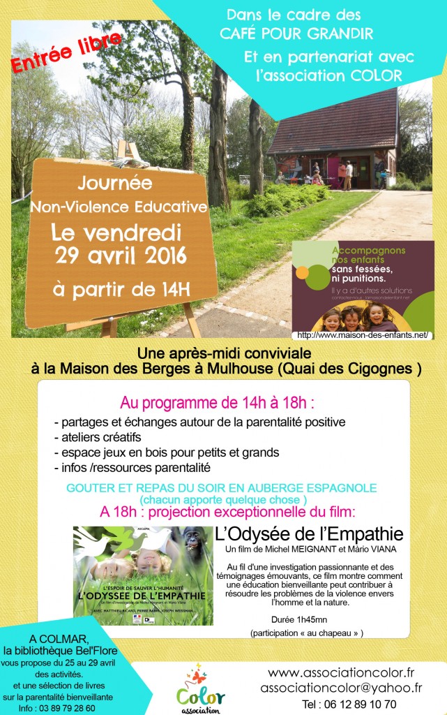 Affiche JNVE2016