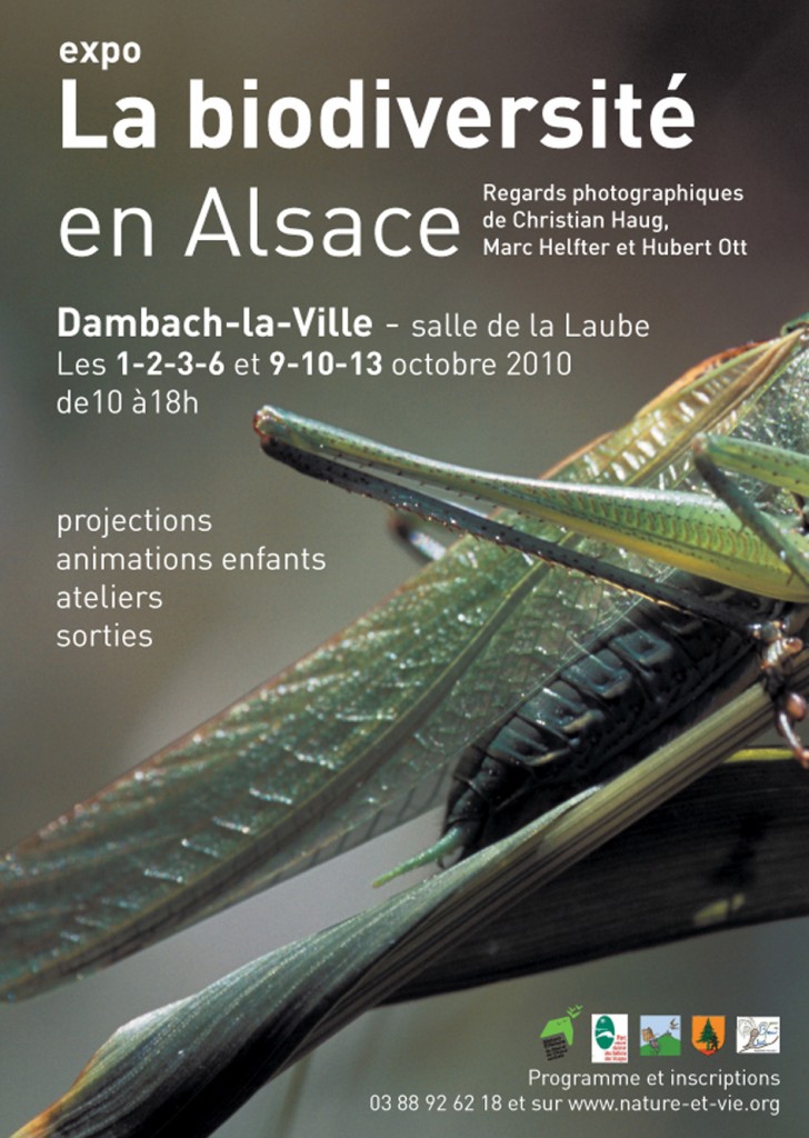 affiche-expo-8