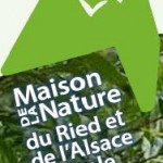 nature nature